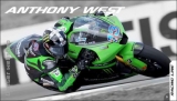 RFX1 West MotoGP replika verseny kesztyû #3